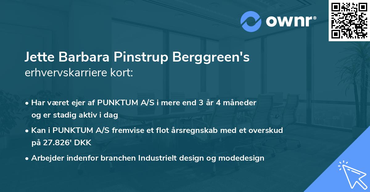 Jette Barbara Pinstrup Berggreen's erhvervskarriere kort