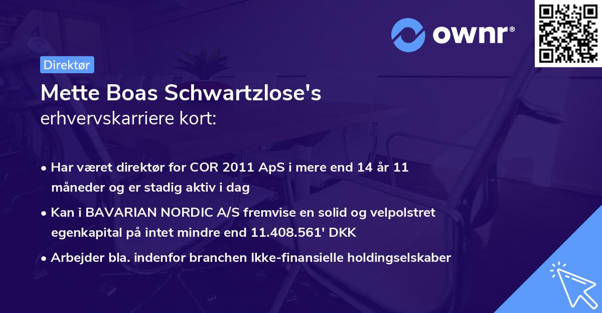 Mette Boas Schwartzlose's erhvervskarriere kort