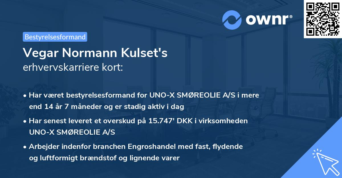 Vegar Normann Kulset's erhvervskarriere kort