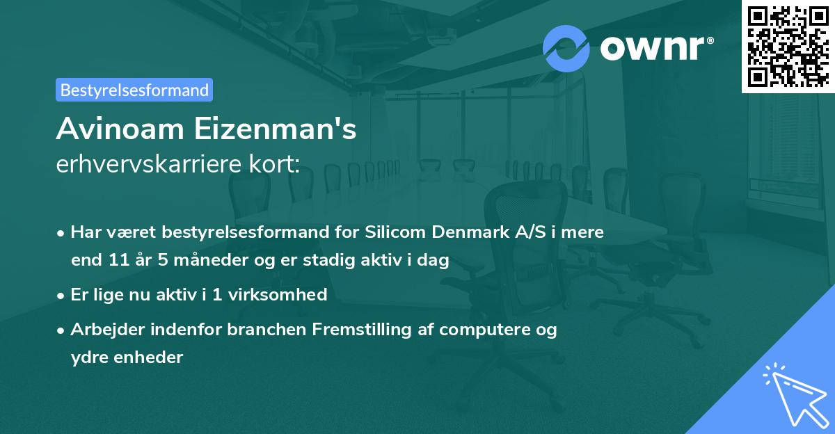 Avinoam Eizenman's erhvervskarriere kort