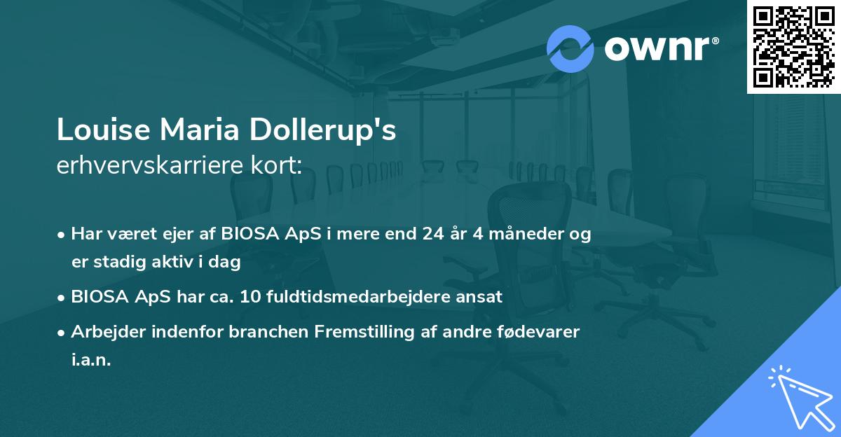 Louise Maria Dollerup's erhvervskarriere kort