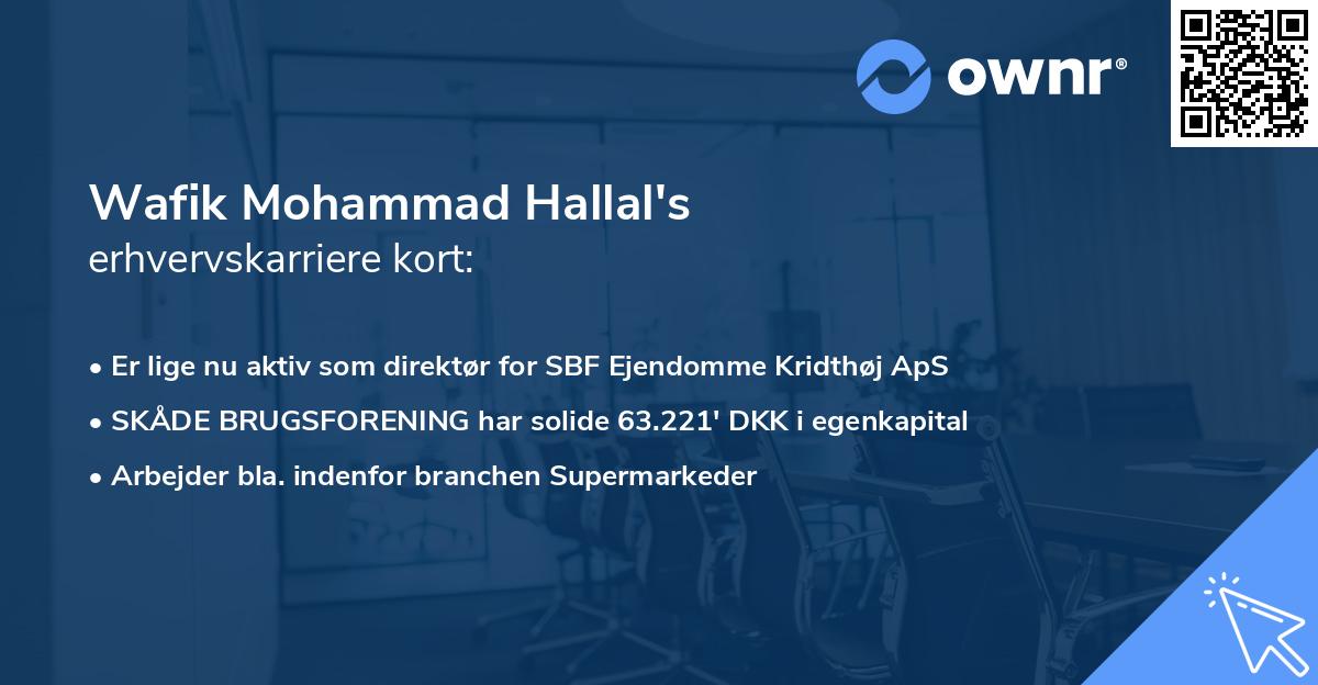 Wafik Mohammad Hallal's erhvervskarriere kort