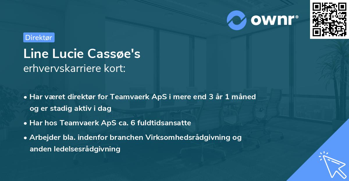 Line Lucie Cassøe's erhvervskarriere kort