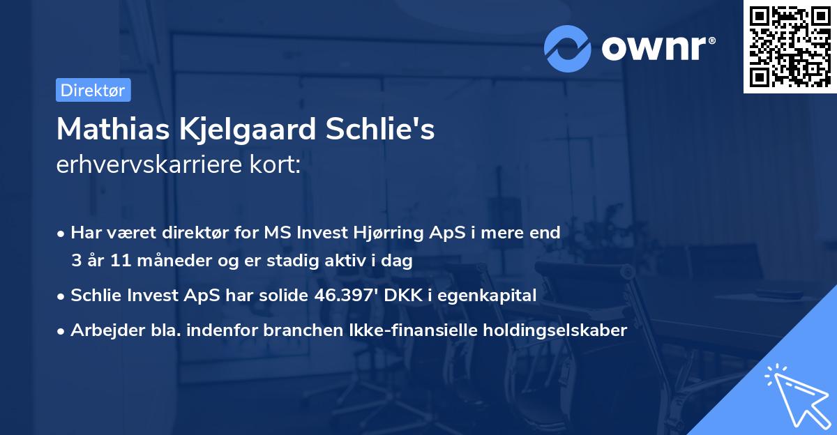 Mathias Kjelgaard Schlie's erhvervskarriere kort