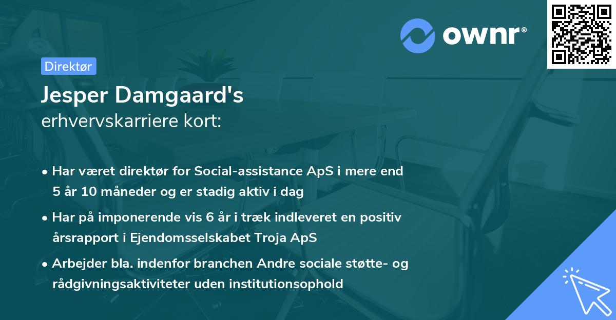 Jesper Damgaard's erhvervskarriere kort