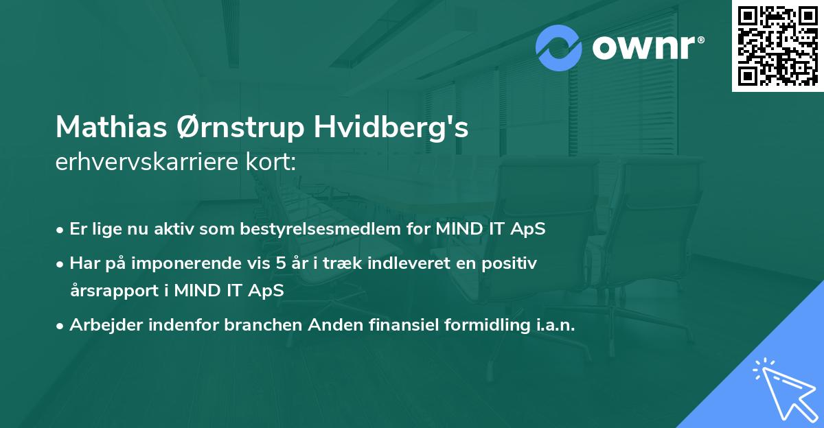 Mathias Ørnstrup Hvidberg's erhvervskarriere kort