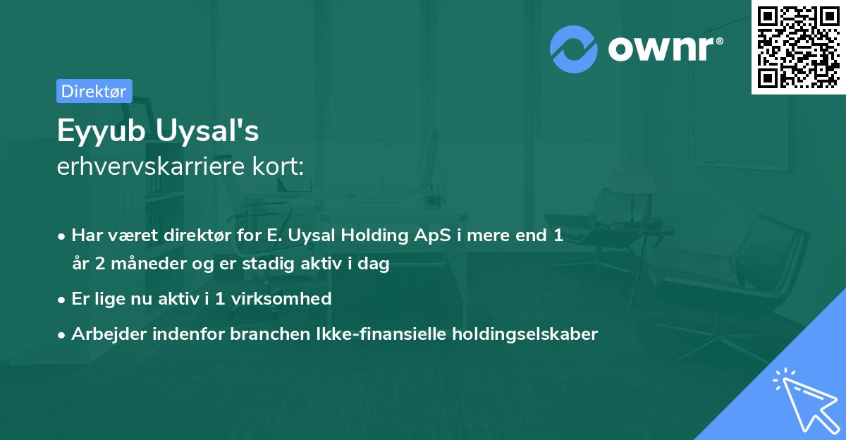 Eyyub Uysal's erhvervskarriere kort