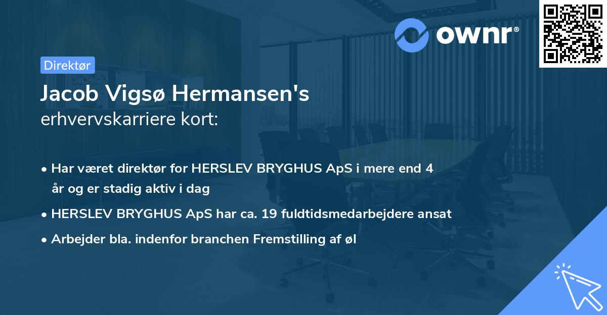 Jacob Vigsø Hermansen's erhvervskarriere kort