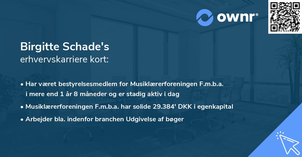 Birgitte Schade's erhvervskarriere kort