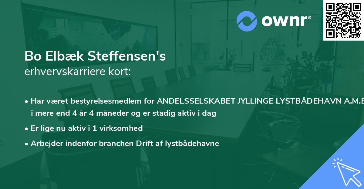Bo Elbæk Steffensen's erhvervskarriere kort