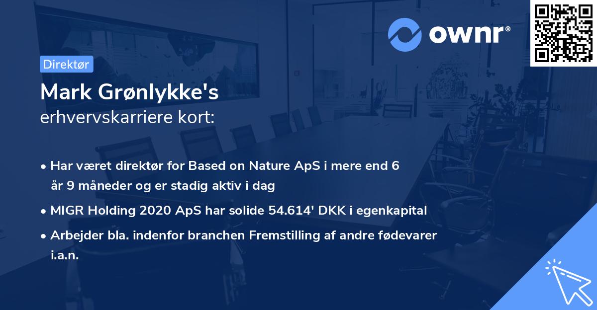 Mark Grønlykke's erhvervskarriere kort