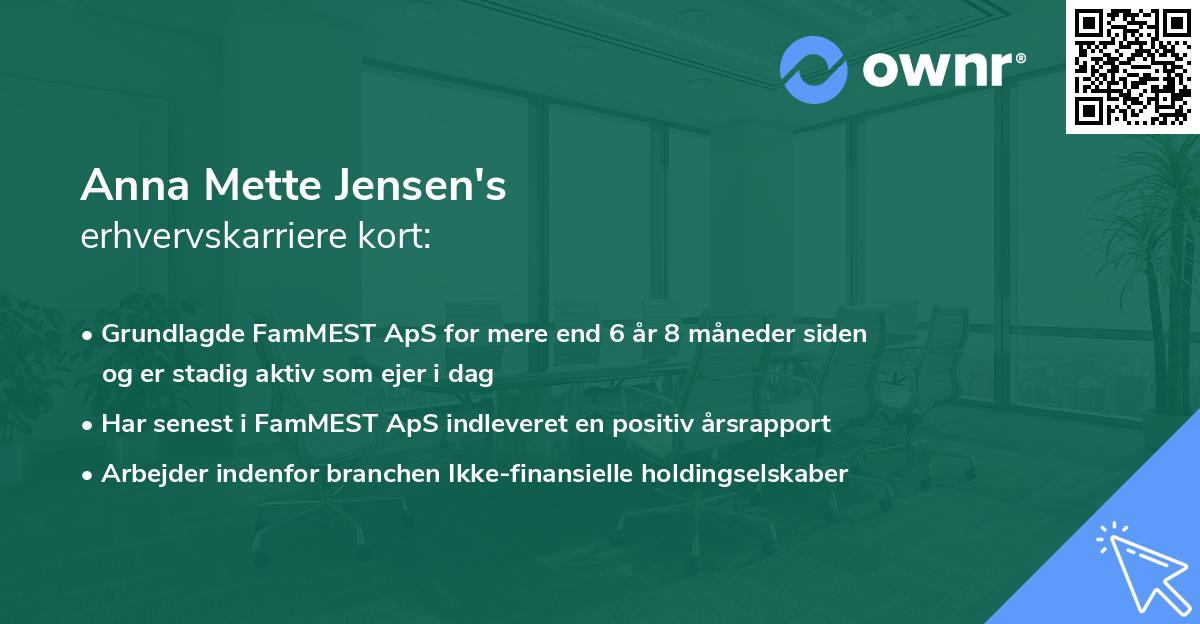 Anna Mette Jensen's erhvervskarriere kort