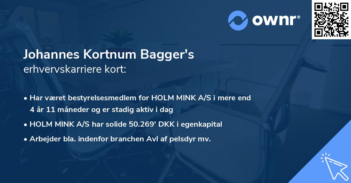 Johannes Kortnum Bagger's erhvervskarriere kort