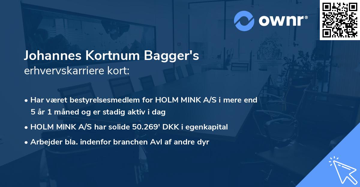 Johannes Kortnum Bagger's erhvervskarriere kort