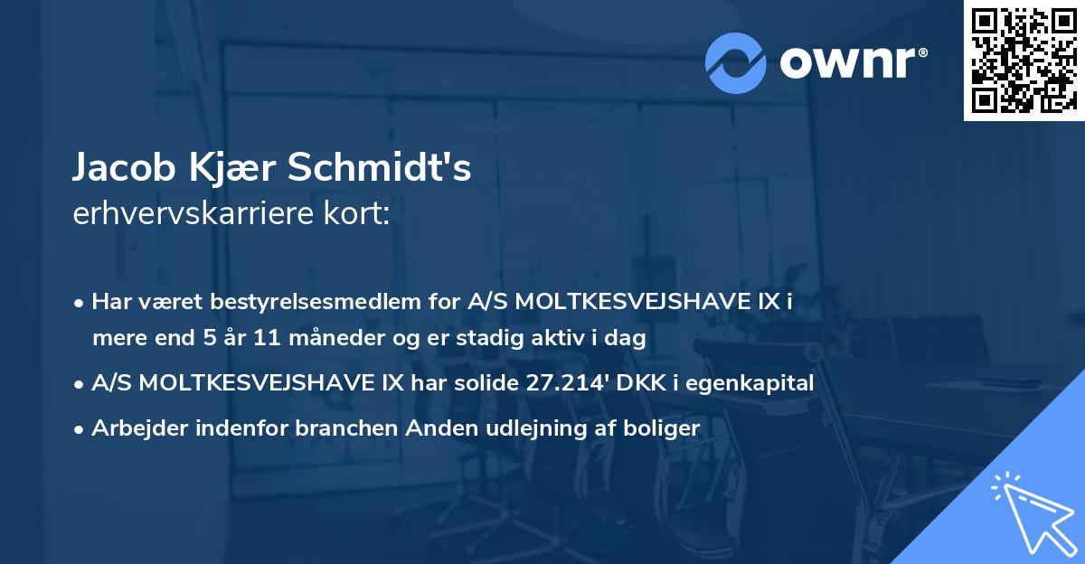 Jacob Kjær Schmidt's erhvervskarriere kort