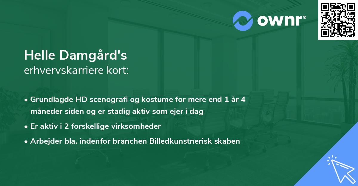 Helle Damgård's erhvervskarriere kort