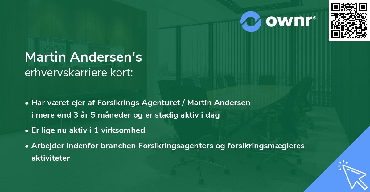 Martin Andersen's erhvervskarriere kort