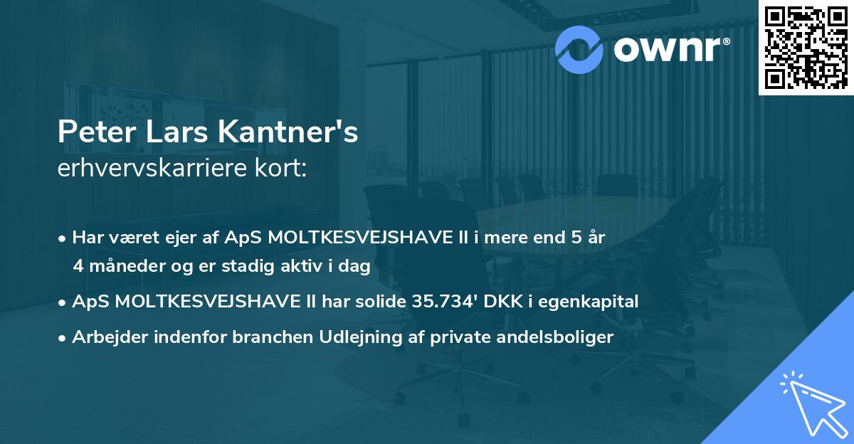Peter Lars Kantner's erhvervskarriere kort
