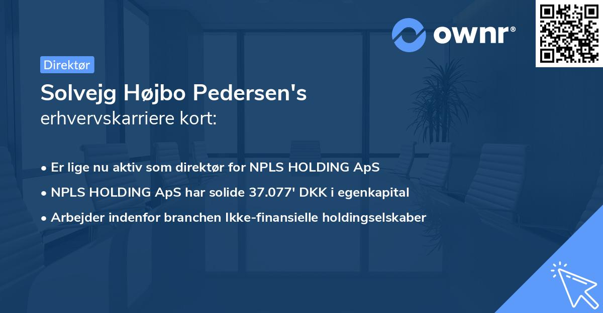 Solvejg Højbo Pedersen's erhvervskarriere kort