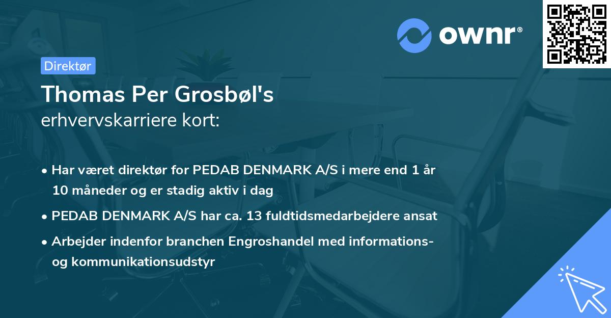 Thomas Per Grosbøl's erhvervskarriere kort