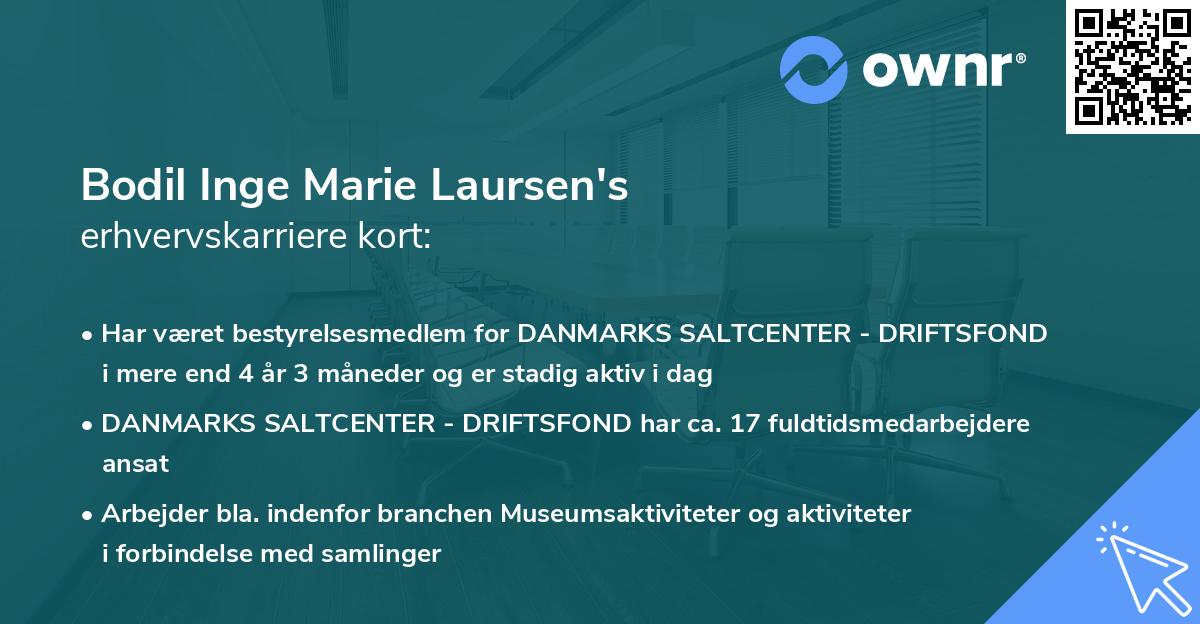 Bodil Inge Marie Laursen's erhvervskarriere kort