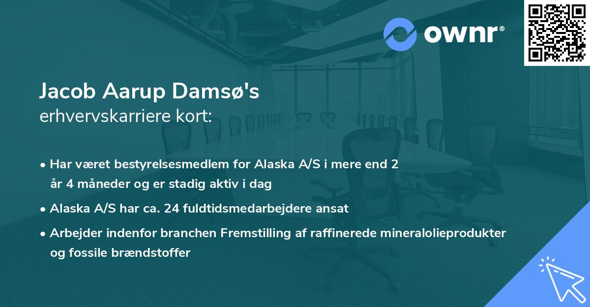 Jacob Aarup Damsø's erhvervskarriere kort