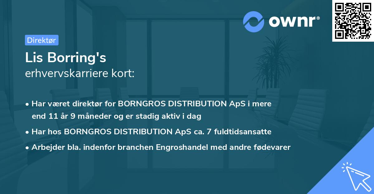 Lis Borring's erhvervskarriere kort
