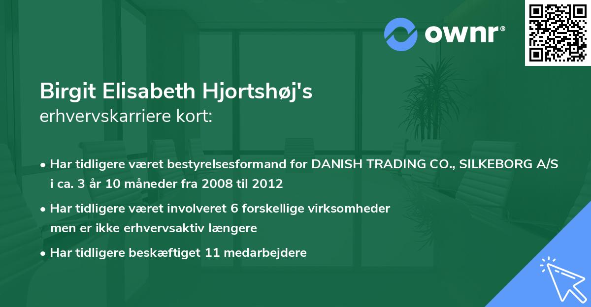 Birgit Elisabeth Hjortshøj's erhvervskarriere kort