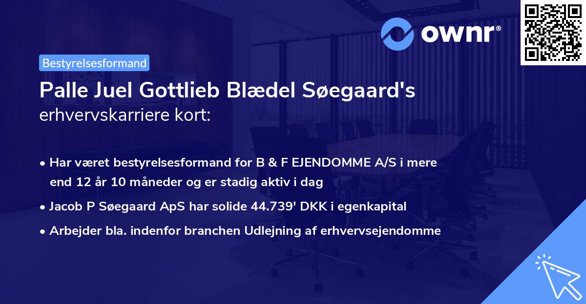 Palle Juel Gottlieb Blædel Søegaard's erhvervskarriere kort