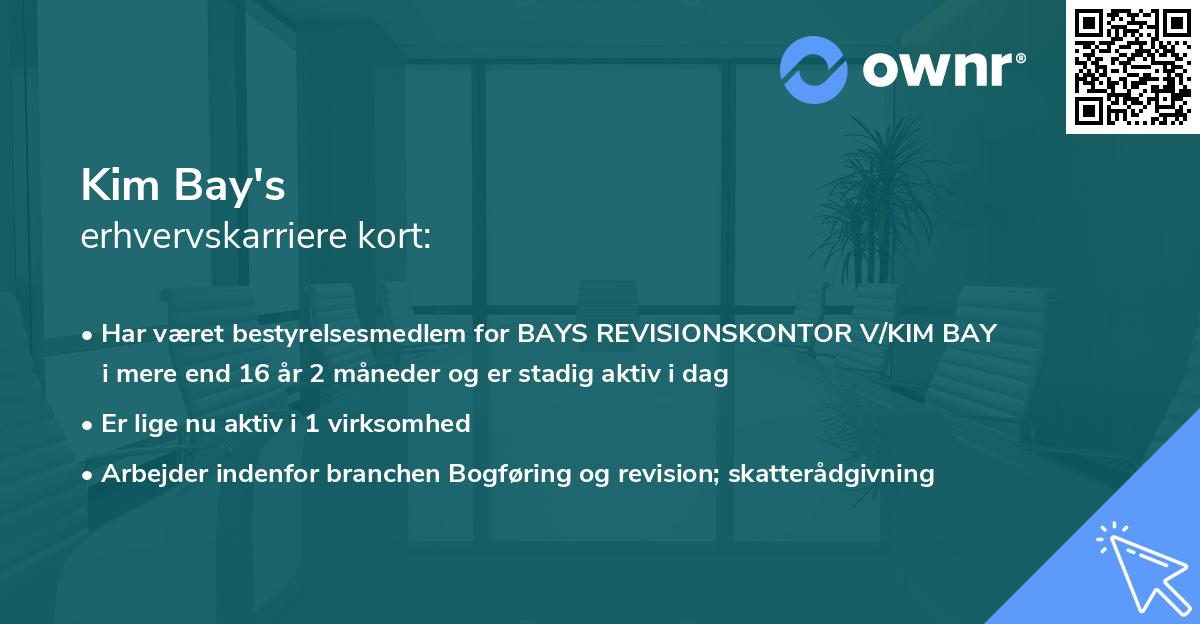 Kim Bay's erhvervskarriere kort