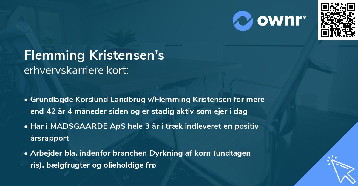 Flemming Kristensen's erhvervskarriere kort