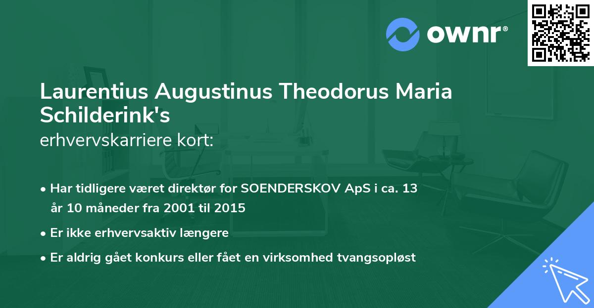 Laurentius Augustinus Theodorus Maria Schilderink's erhvervskarriere kort