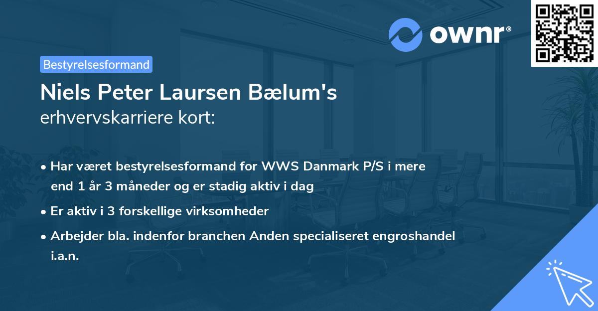 Niels Peter Laursen Bælum's erhvervskarriere kort