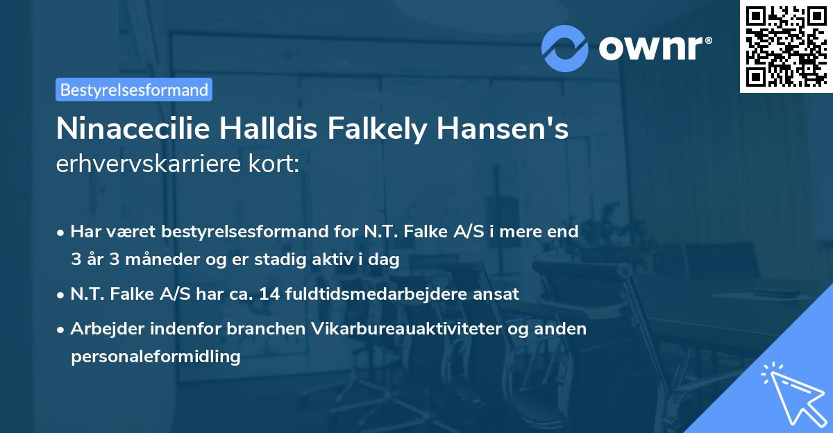 Ninacecilie Halldis Falkely Hansen's erhvervskarriere kort