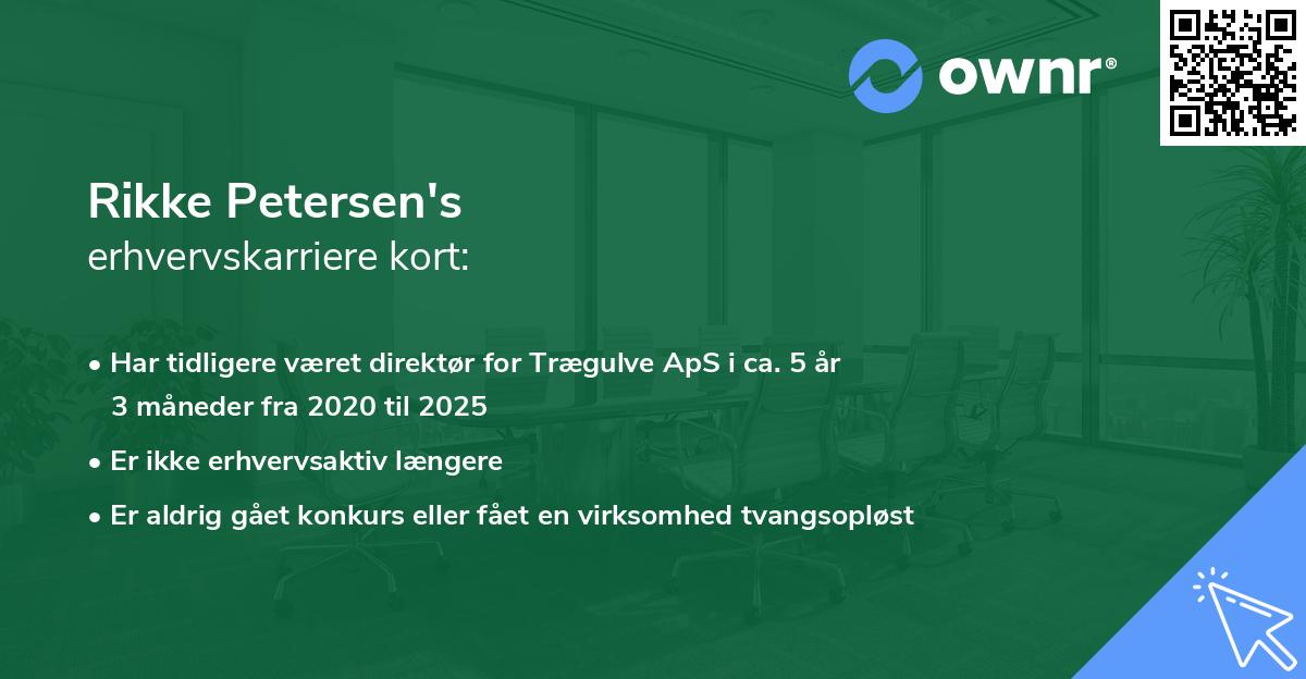 Rikke Petersen's erhvervskarriere kort