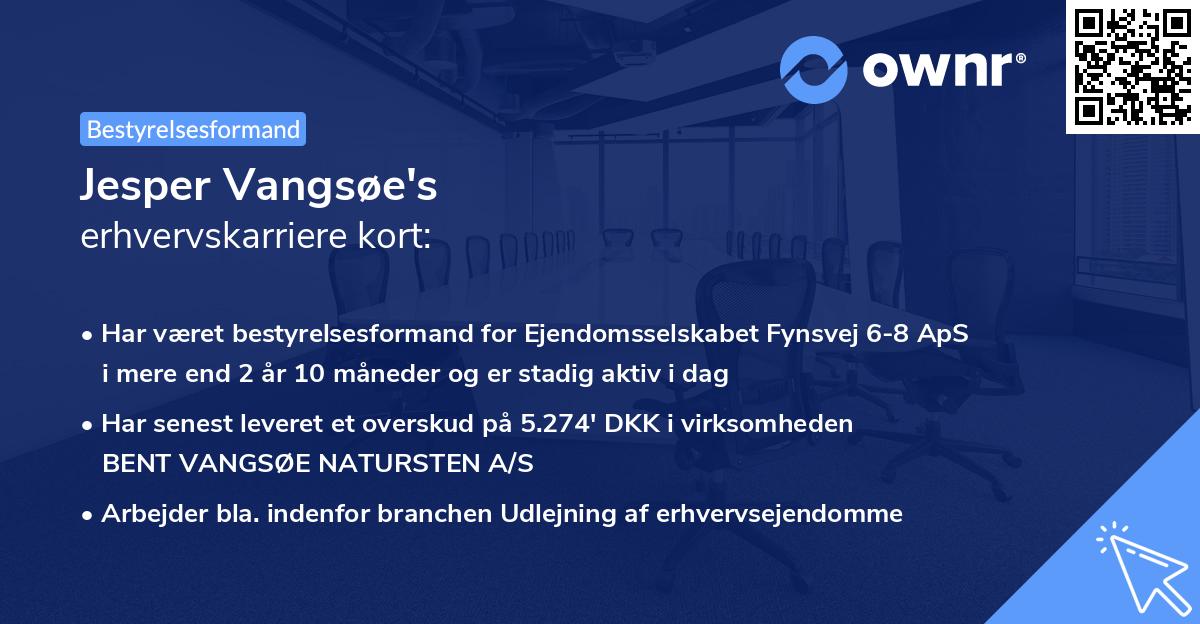 Jesper Vangsøe's erhvervskarriere kort