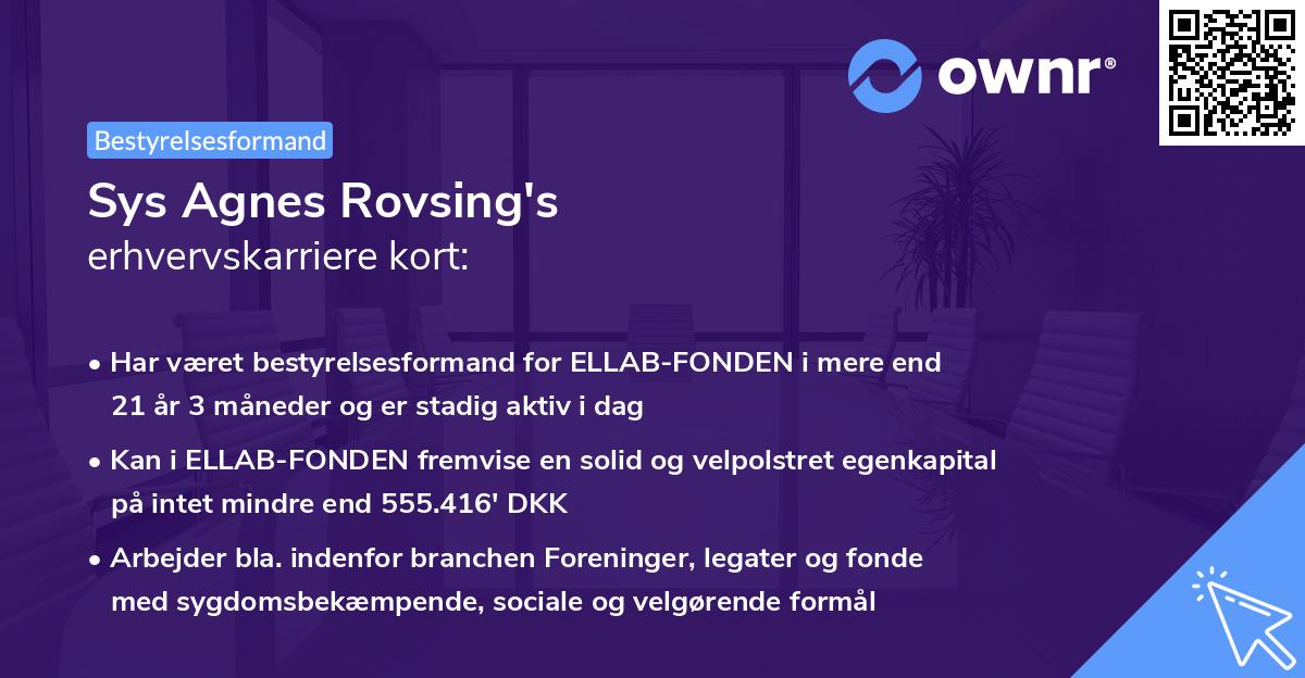 Sys Agnes Rovsing's erhvervskarriere kort