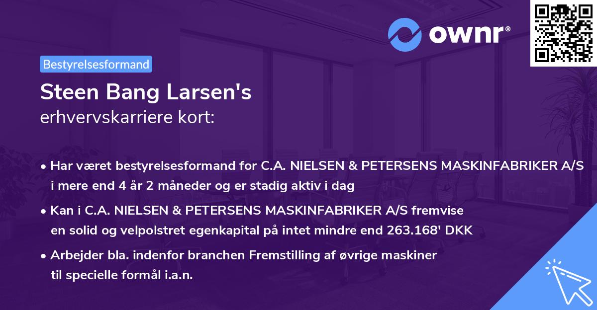 Steen Bang Larsen's erhvervskarriere kort