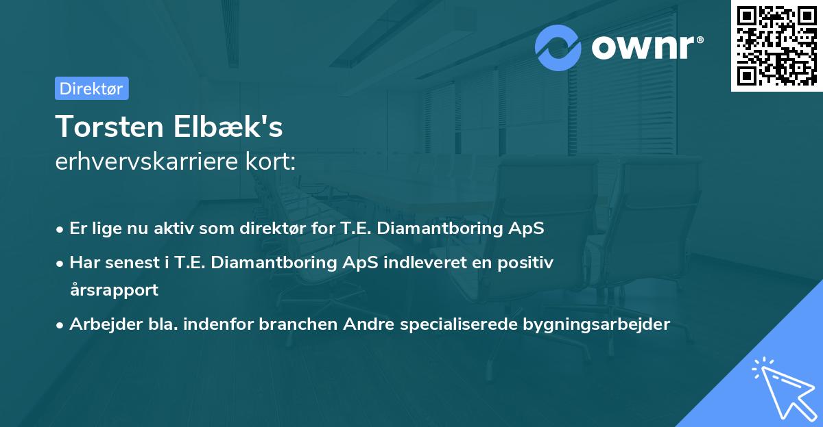 Torsten Elbæk's erhvervskarriere kort