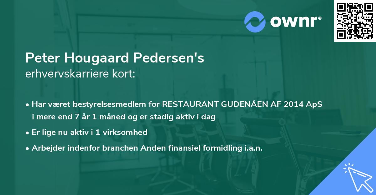 Peter Hougaard Pedersen's erhvervskarriere kort