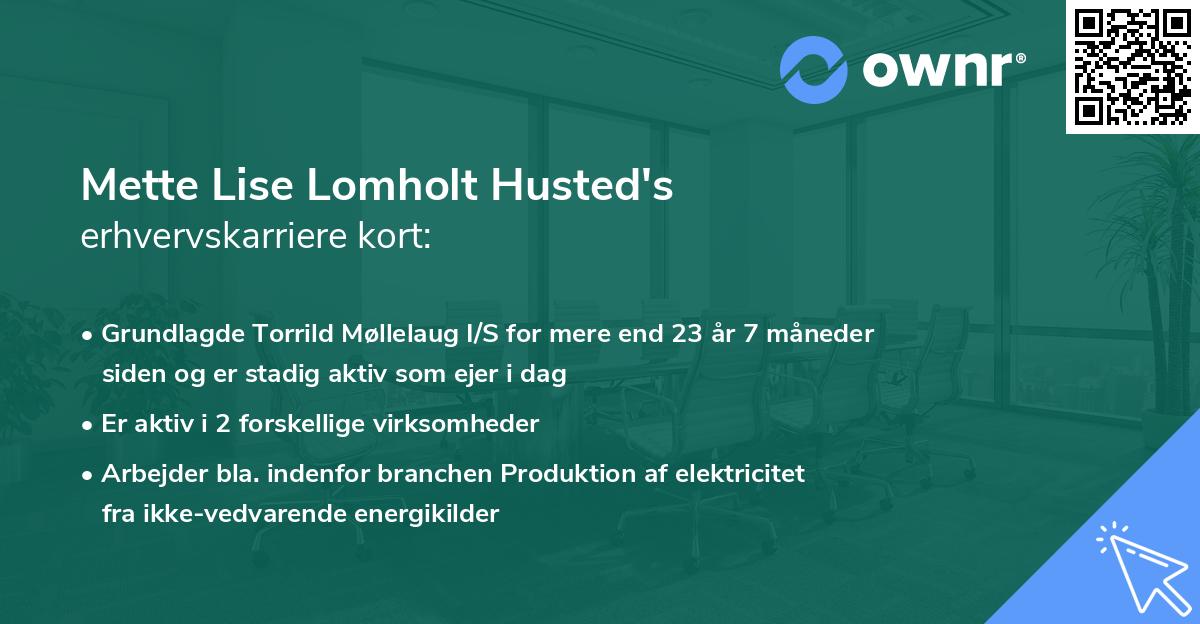 Mette Lise Lomholt Husted's erhvervskarriere kort