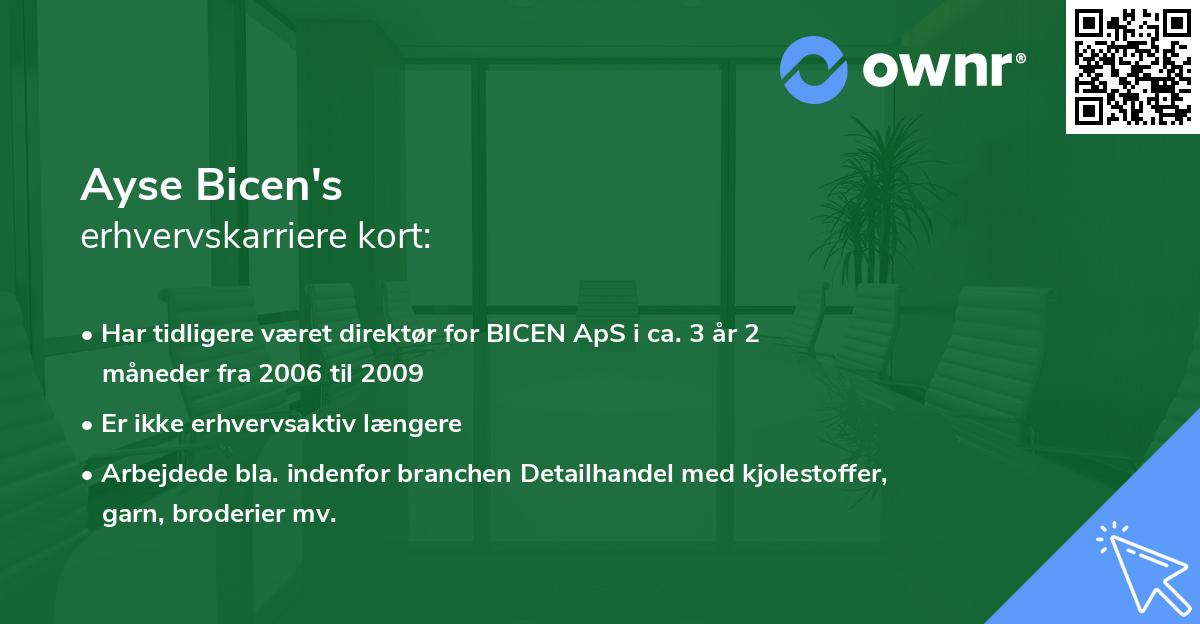 Ayse Bicen's erhvervskarriere kort