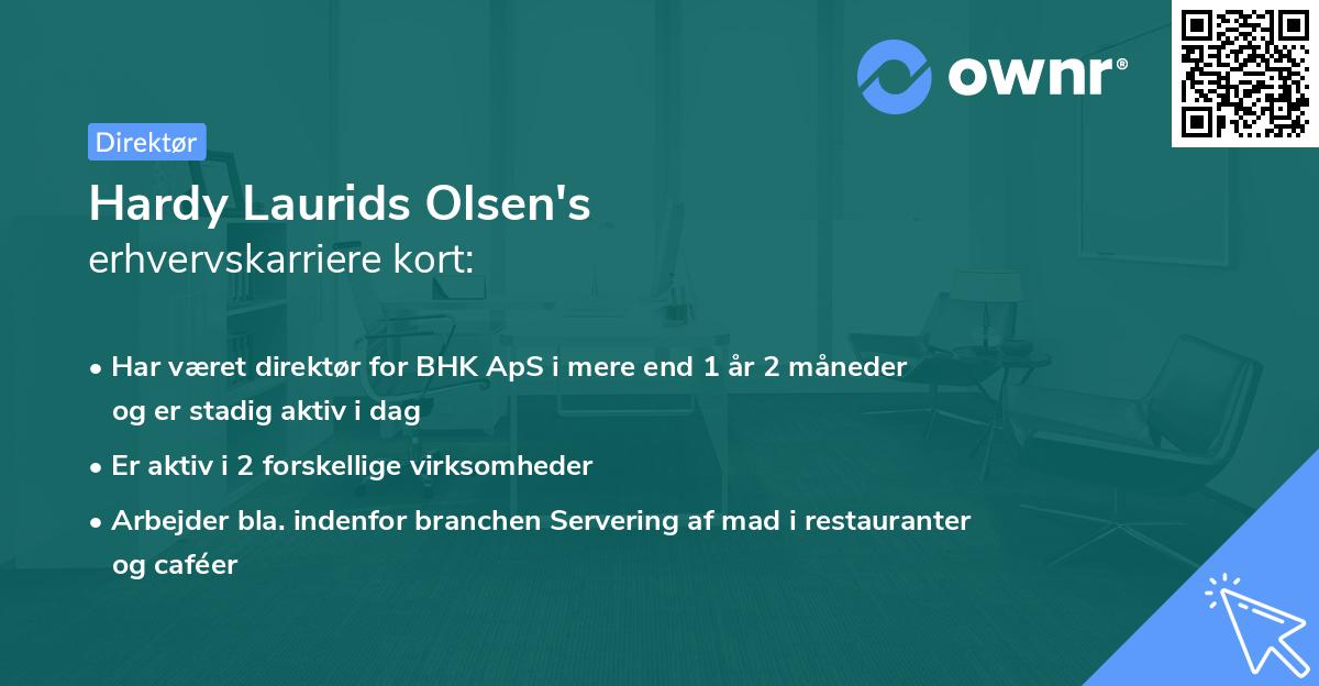Hardy Laurids Olsen's erhvervskarriere kort