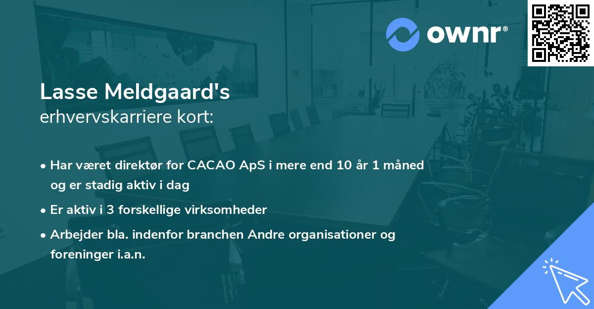 Lasse Meldgaard's erhvervskarriere kort