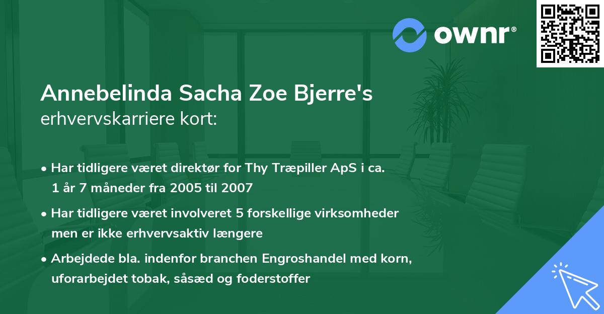 Annebelinda Sacha Zoe Bjerre's erhvervskarriere kort