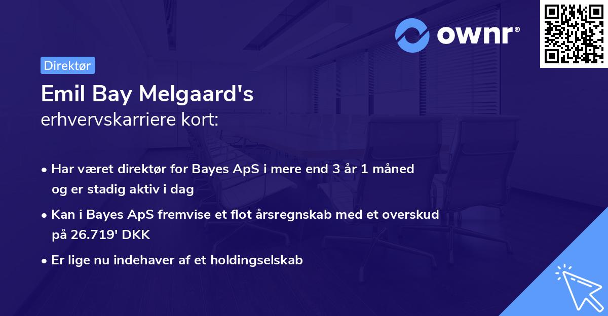 Emil Bay Melgaard's erhvervskarriere kort