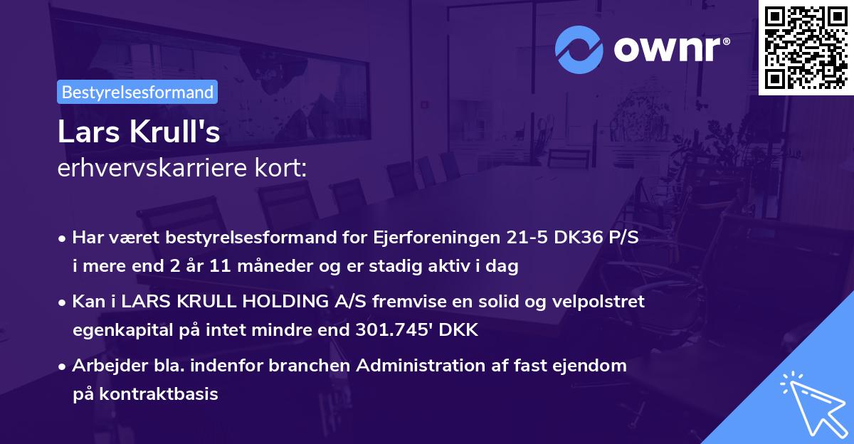 Lars Krull's erhvervskarriere kort