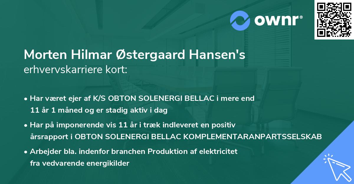 Morten Hilmar Østergaard Hansen's erhvervskarriere kort