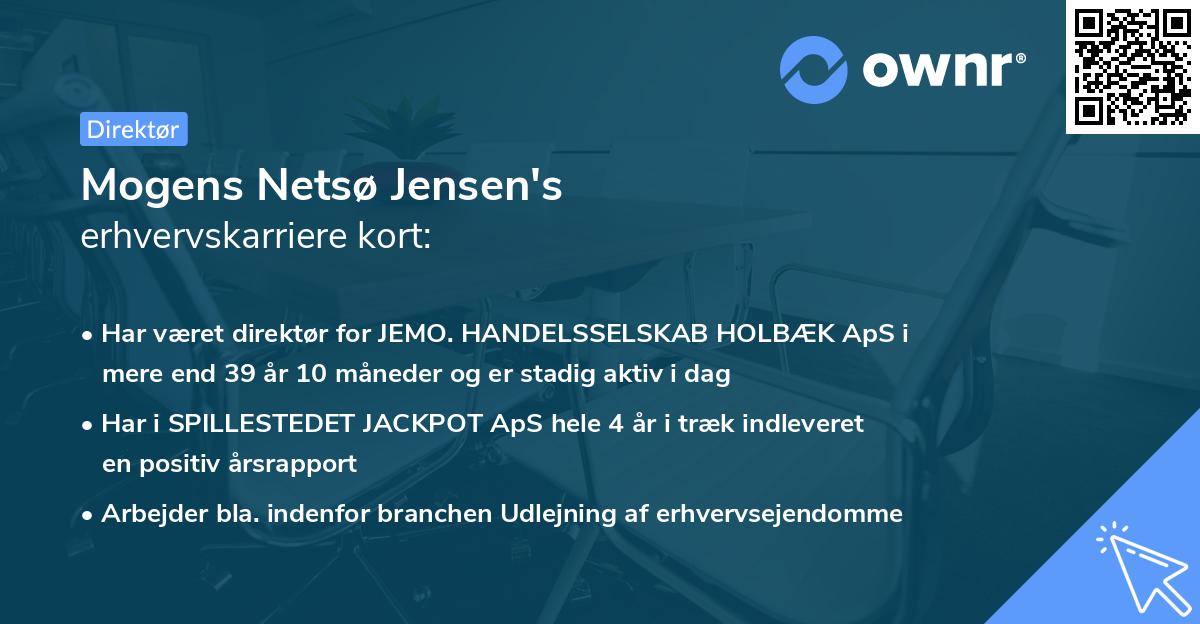 Mogens Netsø Jensen's erhvervskarriere kort