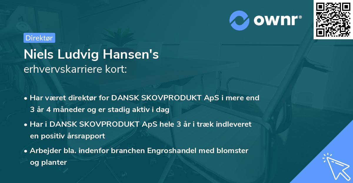 Niels Ludvig Hansen's erhvervskarriere kort